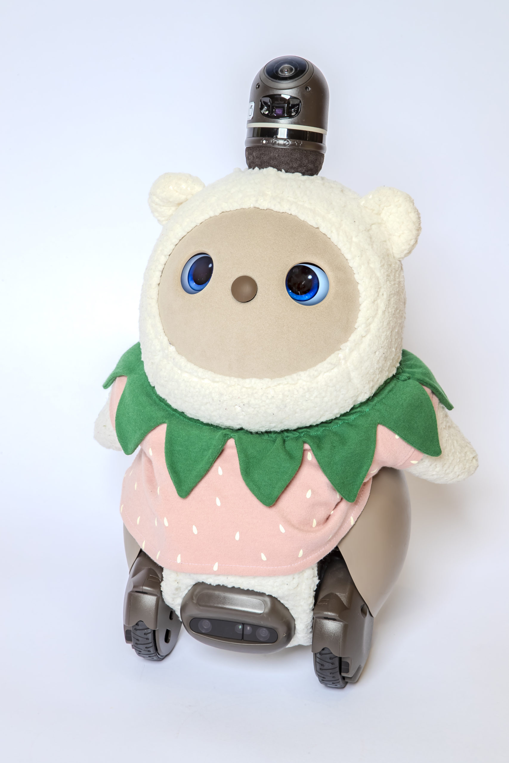 ファン・ママおおいた特別会員特典 - ファン・ママおおいたBASE